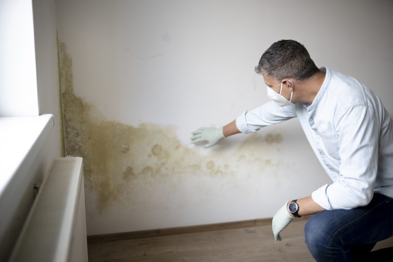 damp and mould prevention bromley